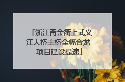 浙江甬金衢上武义江大桥主桥全幅合龙 项目建设提速