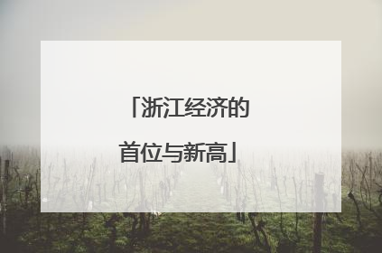 浙江经济的首位与新高