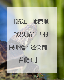 浙江一地惊现“双头蛇”！村民吓懵：还会倒着爬！