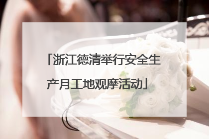 浙江德清举行安全生产月工地观摩活动