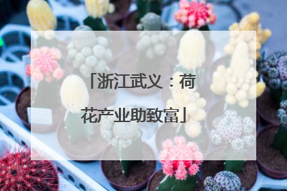 浙江武义：荷花产业助致富