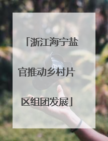 浙江海宁盐官推动乡村片区组团发展