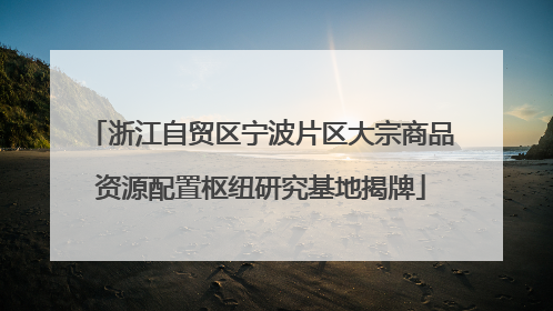 浙江自贸区宁波片区大宗商品资源配置枢纽研究基地揭牌