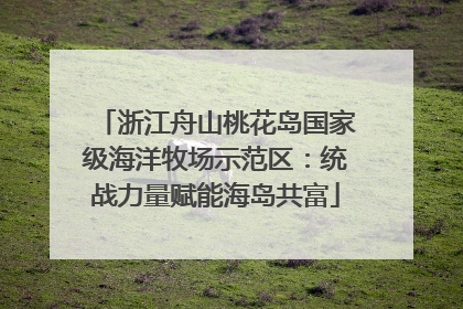 浙江舟山桃花岛国家级海洋牧场示范区：统战力量赋能海岛共富