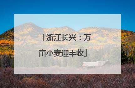 浙江长兴：万亩小麦迎丰收