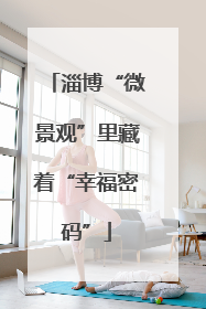淄博“微景观”里藏着“幸福密码”