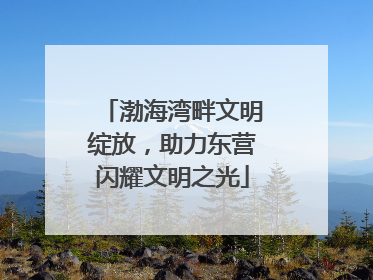 渤海湾畔文明绽放，助力东营闪耀文明之光