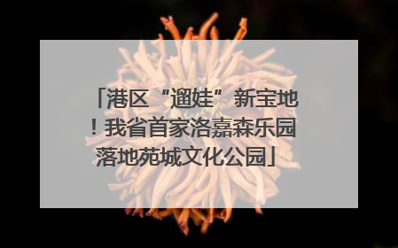 港区“遛娃”新宝地！我省首家洛嘉森乐园落地苑城文化公园