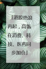 港股热浪再起，高瓴在消费、科技、医药同步加仓