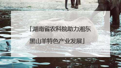 湖南省农科院助力湘东黑山羊特色产业发展