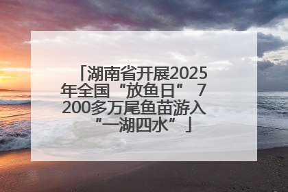 湖南省开展2025年全国“放鱼日” 7200多万尾鱼苗游入“一湖四水”