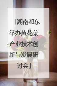 湖南祁东举办黄花菜产业技术创新与发展研讨会