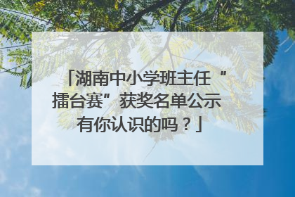 湖南中小学班主任“擂台赛”获奖名单公示 有你认识的吗？