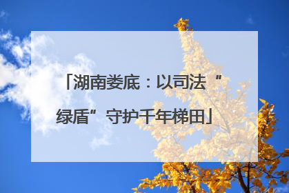 湖南娄底：以司法“绿盾”守护千年梯田