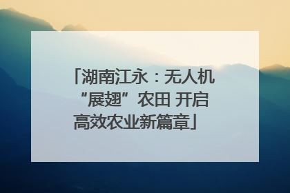 湖南江永：无人机“展翅”农田 开启高效农业新篇章