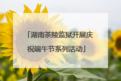 湖南茶陵监狱开展庆祝端午节系列活动