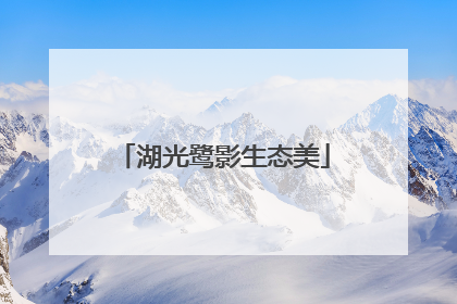 湖光鹭影生态美