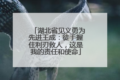 湖北省见义勇为先进王成：徒手握住利刃救人，这是我的责任和使命