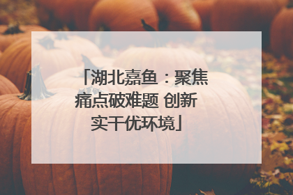 湖北嘉鱼：聚焦痛点破难题 创新实干优环境