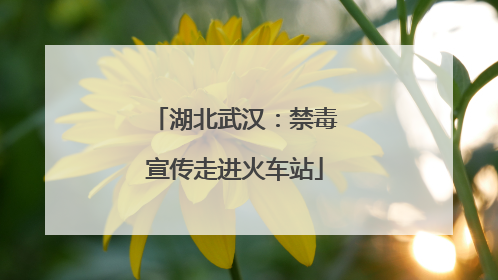 湖北武汉：禁毒宣传走进火车站