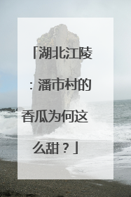 湖北江陵：潘市村的香瓜为何这么甜？