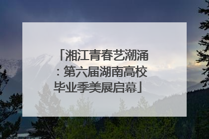湘江青春艺潮涌：第六届湖南高校毕业季美展启幕
