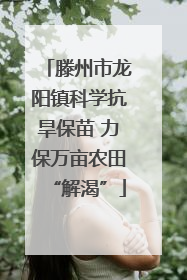 滕州市龙阳镇科学抗旱保苗 力保万亩农田“解渴”