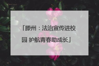滕州：法治宣传进校园 护航青春助成长