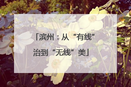 滨州：从“有线”治到“无线”美