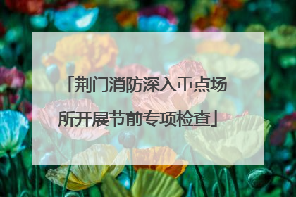 荆门消防深入重点场所开展节前专项检查