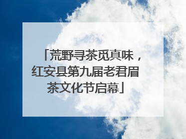 荒野寻茶觅真味，红安县第九届老君眉茶文化节启幕