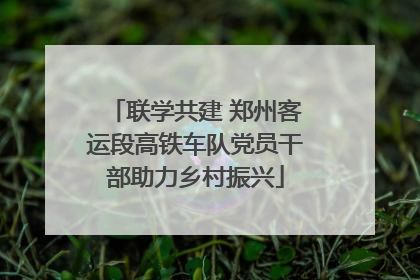 联学共建 郑州客运段高铁车队党员干部助力乡村振兴
