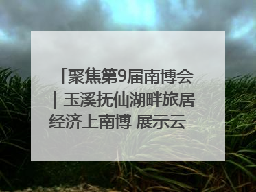 聚焦第9届南博会｜玉溪抚仙湖畔旅居经济上南博 展示云南生活新样本