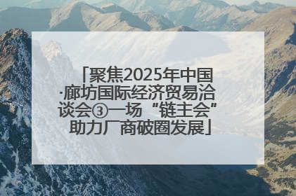 聚焦2025年中国·廊坊国际经济贸易洽谈会③一场“链主会” 助力厂商破圈发展
