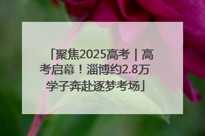 聚焦2025高考｜高考启幕！淄博约2.8万学子奔赴逐梦考场