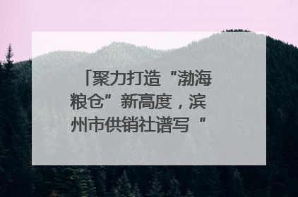 聚力打造“渤海粮仓”新高度，滨州市供销社谱写“三夏”丰收乐章