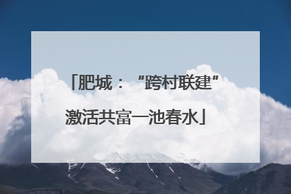 肥城：“跨村联建”激活共富一池春水