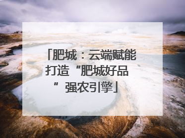 肥城：云端赋能 打造“肥城好品”强农引擎