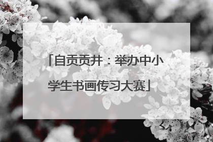 自贡贡井：举办中小学生书画传习大赛