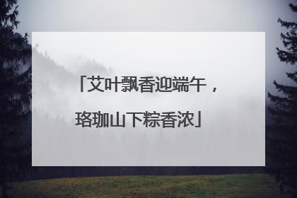 艾叶飘香迎端午，珞珈山下粽香浓