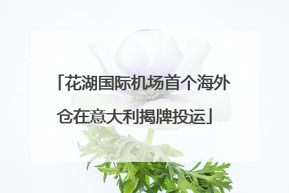 花湖国际机场首个海外仓在意大利揭牌投运