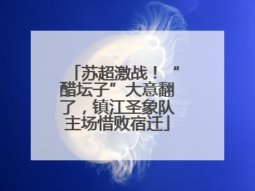 苏超激战！“醋坛子”大意翻了，镇江圣象队主场惜败宿迁