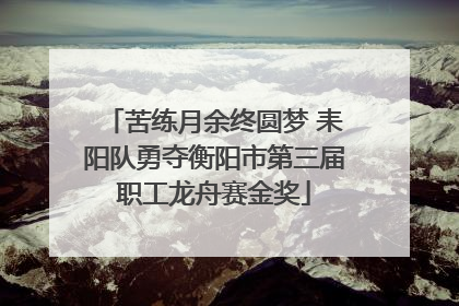 苦练月余终圆梦 耒阳队勇夺衡阳市第三届职工龙舟赛金奖