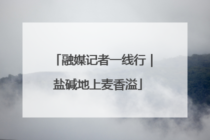 融媒记者一线行｜盐碱地上麦香溢