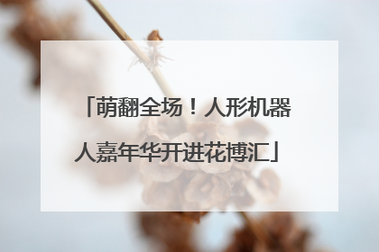 萌翻全场！人形机器人嘉年华开进花博汇
