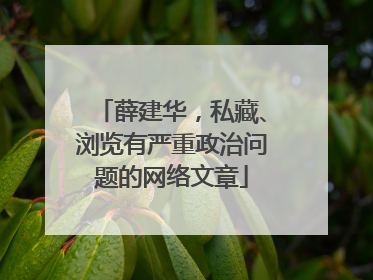 薛建华，私藏、浏览有严重政治问题的网络文章