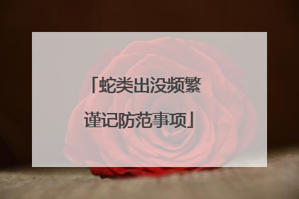 蛇类出没频繁 谨记防范事项