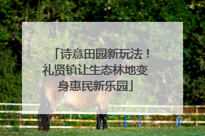 诗意田园新玩法！礼贤镇让生态林地变身惠民新乐园