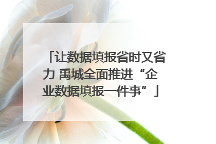 让数据填报省时又省力 禹城全面推进“企业数据填报一件事”