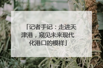 记者手记：走进天津港，窥见未来现代化港口的模样